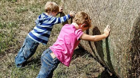 Konwencja dot. osób pracujących w gospodarstwie domowym. Co z Polską?