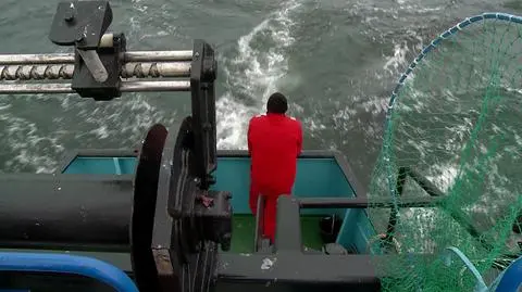 Polski rząd z ekologami za ograniczeniem połowów dorszy na Bałtyku