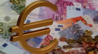 Rada Gabinetowa zajmie się wejściem Polski do strefy euro
