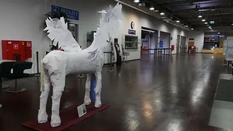 Lotnisko w Radomiu: SprintAir zakończył rejsy