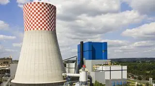 Elektrownia Łagisza należy do Tauronu