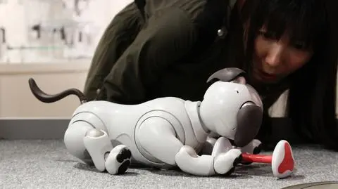 Japończycy organizują pogrzeby psów-robotów
