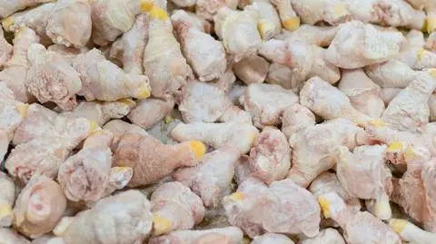 Czesi poinformowali o wykryciu bakterii salmonelli w polskim mięsie drobiowym