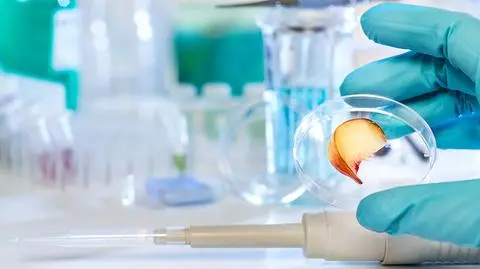 Jedna inspekcja bezpieczeństwa żywności w Polsce od 1 stycznia 2018 r.