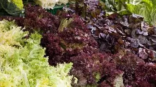 Gwałtownie wzrosły ceny importowanych warzyw