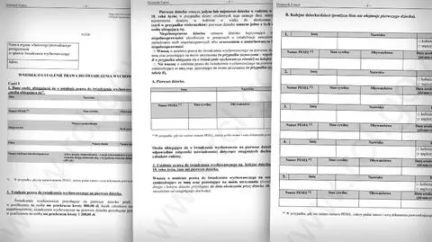 Jak wypełnić wniosek Rodzina 500 plus