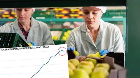 Ukraińcy ubezpieczeni w ZUS. Dane za IV kwartał 2019 roku. Rekordowy spadek