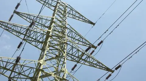 System TETRA w Polsce ma być uruchomiony w 2017 r.