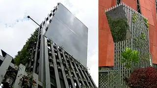 Sztuczne drzewo w Medellin pomaga w walce ze smogiem