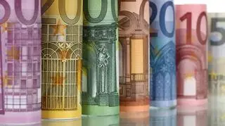 Zadłużenie zagraniczne brutto Polski wzrosło w 2016 roku do 317 mld 360 mln euro z 302 mld 63 mln euro w 2015 roku