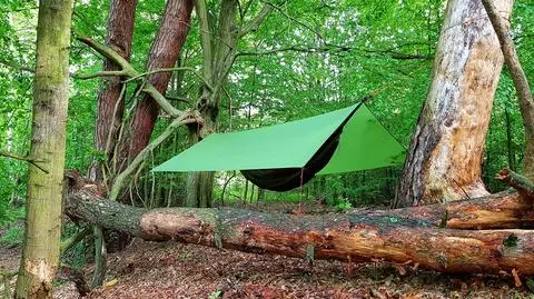 Survivalowcy i bushcrafterzy będą mogli oddawać się pasji w niektórych obszarach polskich lasów