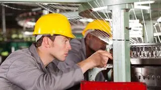 W ujęciu rok do roku PKB Niemiec wzrósł w IV kw. o 1,4 proc. 