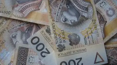 Budżet 2016. "Nowy rząd będzie miał ograniczone pole manewru"