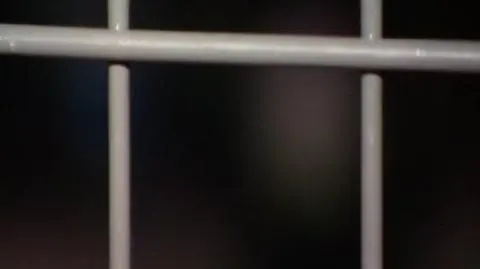 Auta znowu w kratkę