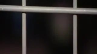 Były kryteria w kratkę – do łask wrócą auta z kratką. Polska przegrała w Luksemburgu, przed Europejskim Trybunałem Sprawiedliwości sprawę dotyczącą możliwości odliczania VAT od paliwa do firmowych samochodów osobowych. 