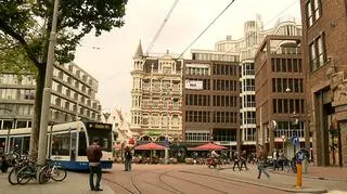 Holandia chce odejść od samochodów spalinowych