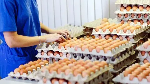Jaja drożeją, w dużych sieciach handlowych może ich zabraknąć