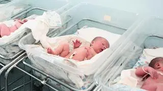 Ile kosztują nas dzieci? 