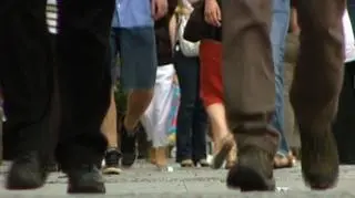 Płaca i zatrudnienie wolniej w górę, ale w górę, "Diagnoza społeczna 2009" Czapińskiego pokazuje samozadowolenie Polaków, ale PIP pokazuje 100% wzrost liczby pracowników nie dostających pensji. Sprzeczność między badaniami a danymi z gospodarki.