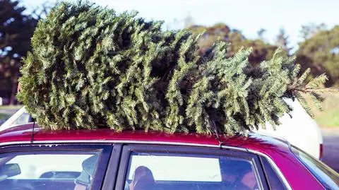 Choinka musi być odpowiednio zabezpieczona