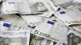 Na koniec września 2015 roku, aktywa rezerwowe Polski, zarządzane przez Narodowy Bank Polski, wyniosły 90,4 mld euro