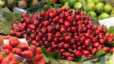 Ekspert: owoce będą droższe przez wiosenne przymrozki