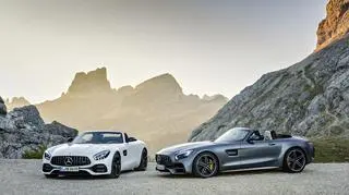 Mercedes AMG GT Roadster