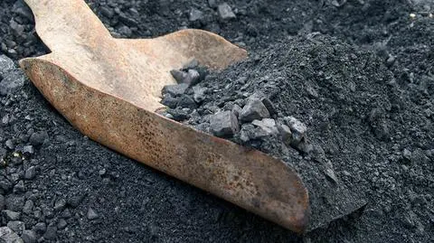 Polska Grupa Górnicza planuje ograniczyć sprzedaż mułu węglowego