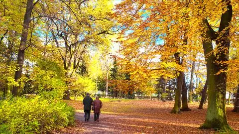 Dodatkowe pieniądze dla emerytów. Wkrótce ruszą wypłaty