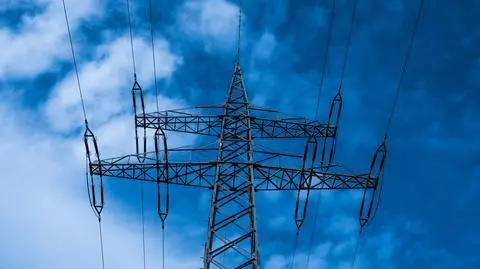 Siemens gotów uczestniczyć w modernizacji elektrowni w Rosji