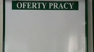 Połowa pensji dla pracownika zagrożonego zwolnieniami grupowymi i 400 zł dofinansowania zamiast wypowiedzenia, ruchomy czas pracy i uzależniony od zapotrzebowania, a zapomogi i bony towarowe nie byłyby opodatkowane. To niektóre z elementów pakietu antykryzysowego  zaproponowanego rządowi przez pracodawców i pracowników. Czy jednak ten pakiet faktycznie mógłby ograniczyć liczbę zwolnień w polskich firmach i skąd wziąć pieniądze na jego realizację?