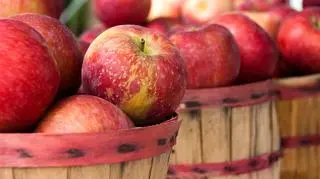 Spółka zajmowała się skupem jabłek