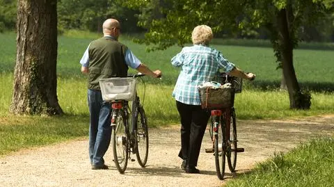 PSL przejmuje prezydencki projekt ws. emerytur