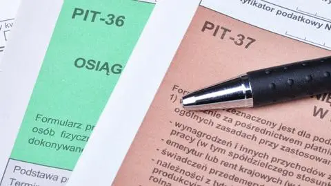 Czerwińska: W 2019 KAS przygotuje za podatników PIT-y (krótka)