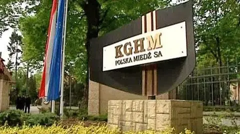 Skarb obłupił KGHM z zysku