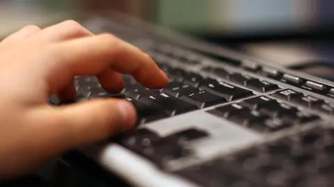 Polski sektor IT coraz mocniejszy