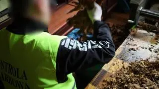 56da7a7c-cece-11e3-bf34-0025b511229e