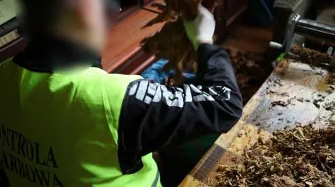 Rafał Hirsch: tak, kontrola skarbowa ma zwiększać dochody budżetowe