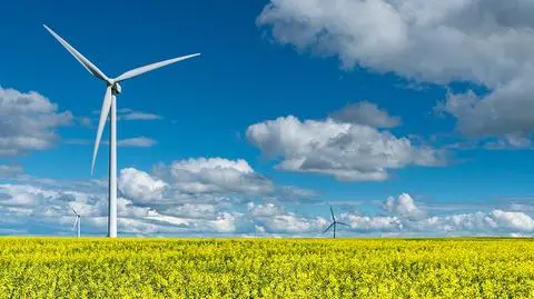 Bank Światowy: transformacja energetyczna przyniosłaby Polsce korzyści