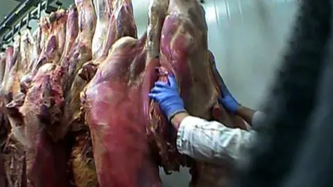 Materiał wywołał falę reakcji w całej Europie