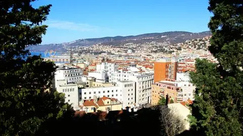 Włochy. 500 euro kary za wejście na drzewo