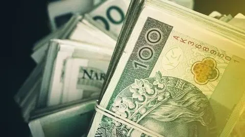 Likwidacja MSP przyniesie 100 mln zł oszczędności