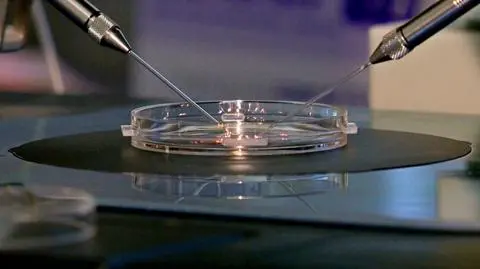 In vitro. UOKiK ukarał Związek Polskich Ośrodków Leczenia Niepłodności