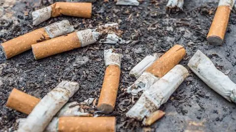 Zakaz papierosów z filtrem? Apel naukowców, komentarz Katarzyny Guzek z Greenpeace