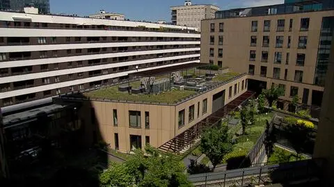 Niezwykłe ogrody na dachach. Nowa moda w Polsce