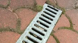 PO chce podatków od wód opadowych spływających do kanalizacji 