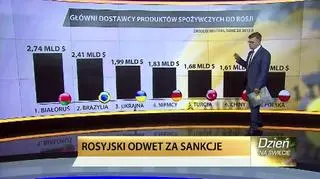 Co i od kogo importuje Rosja? Polska więcej niż USA 
