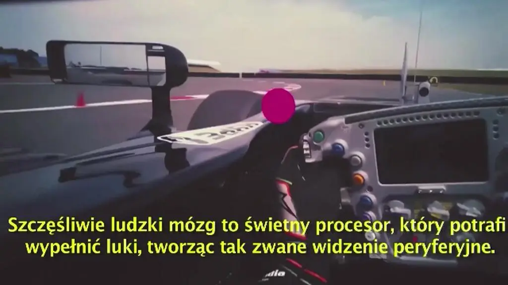 Co widzi i jak reaguje kierowca F1