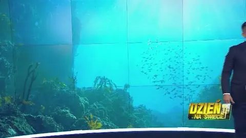 Czy ryby z Bałtyku są zdrowe?