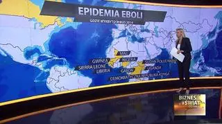 Czym jest wirus Ebola? 